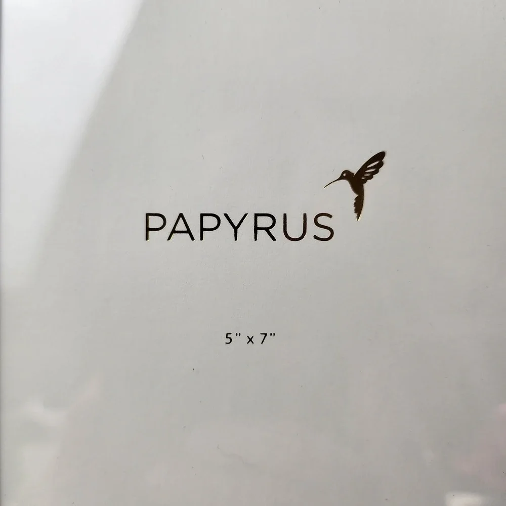 Papyrus Brushed Silver 5x7 Picture Frame Crystal Bow Embellished NWT Box